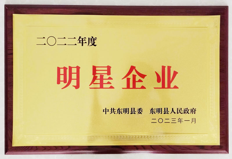 企业荣誉
